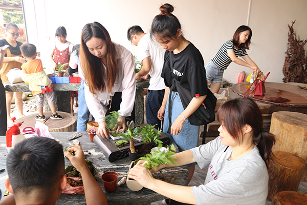 百石汇 青龙石景观石造景大赛开始啦.jpg