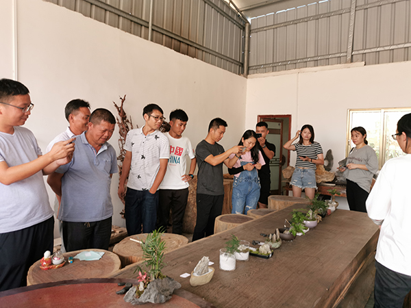 百石汇 青龙石微景观裁判投票.jpg