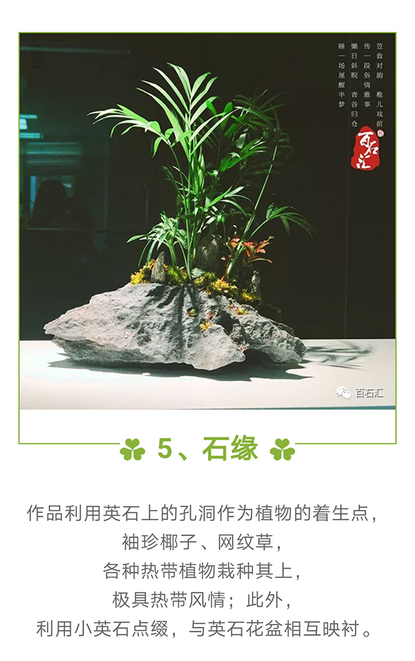5百石汇 青龙石.jpg