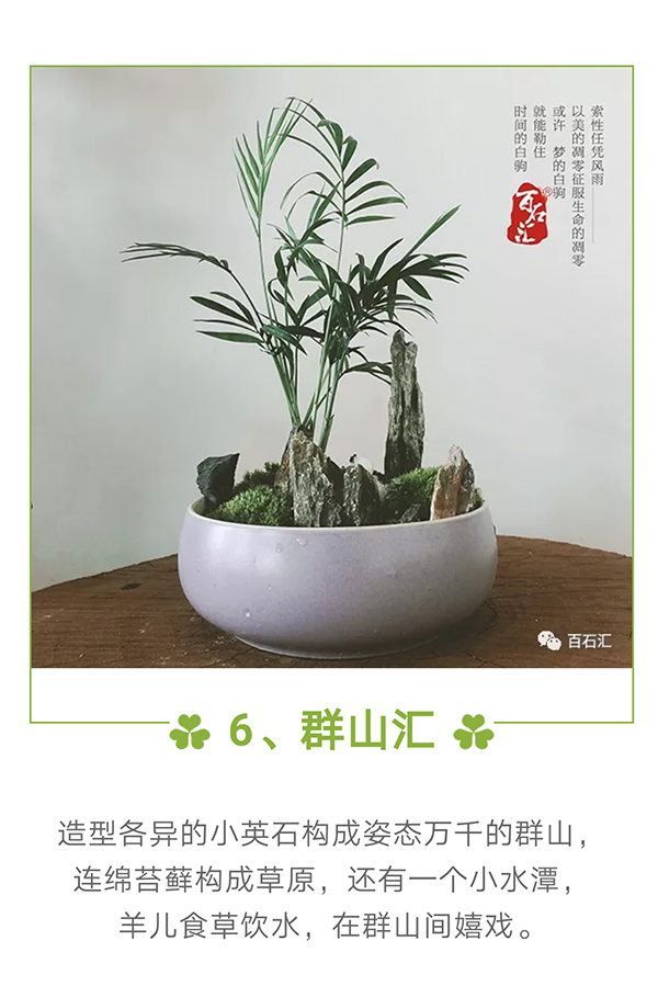 6百石汇 青龙石.jpg