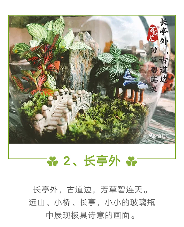 2百石汇 青龙石.jpg