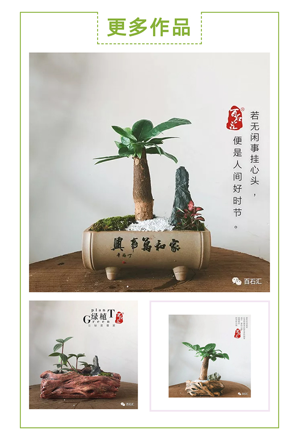 百石汇 青龙石造景.jpg